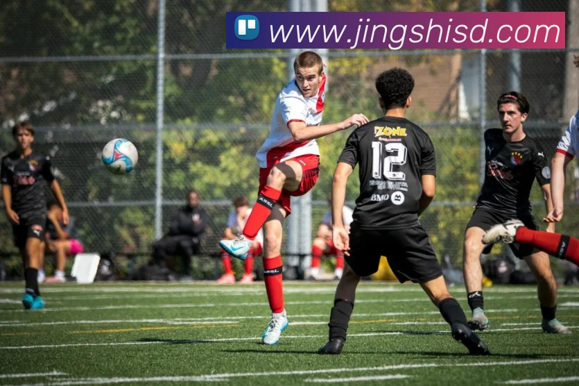 App Interface Preview