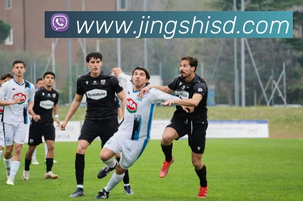 九游app官方网站APP 封面图